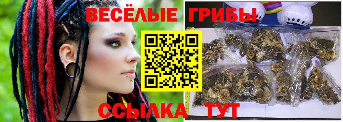 Псилоцибиновые грибы мицелий Донецк
